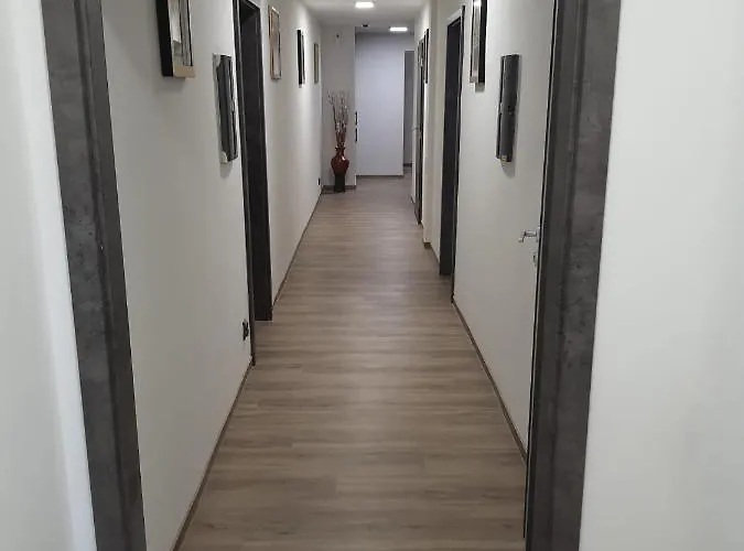 Toša